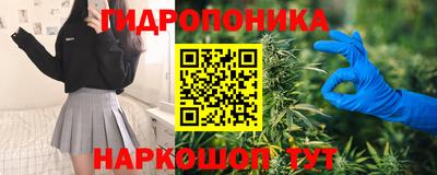 PSILOCYBIN Дубна