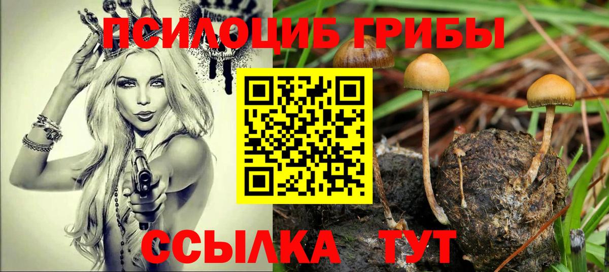Новоалтайск  Галлюциногенные грибы Psilocybe  Вход с VPN 