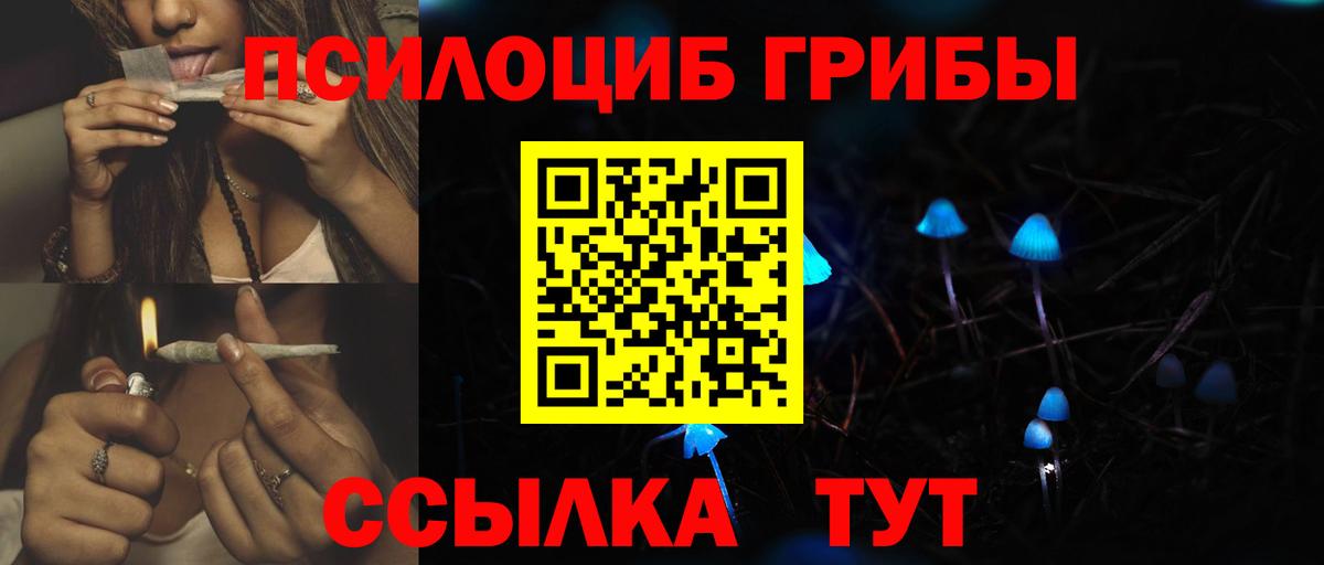 Псилоцибиновые грибы мицелий Новоалтайск